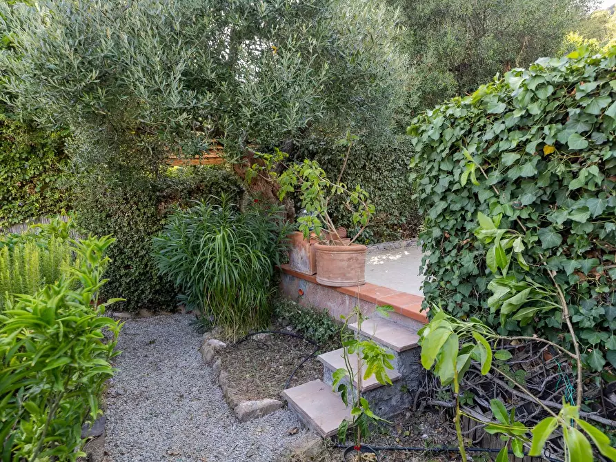 Immagine 18 di Appartamento in affitto  in Località Le Piane snc a Monte Argentario