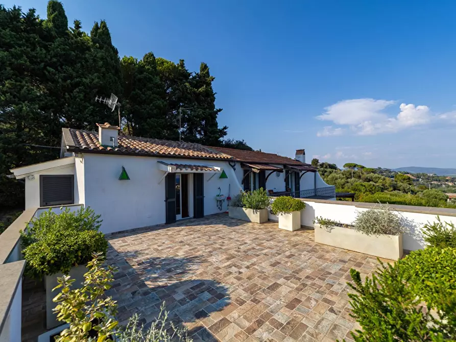 Immagine 31 di Villa in vendita  in Località Mandrioli snc a Monte Argentario