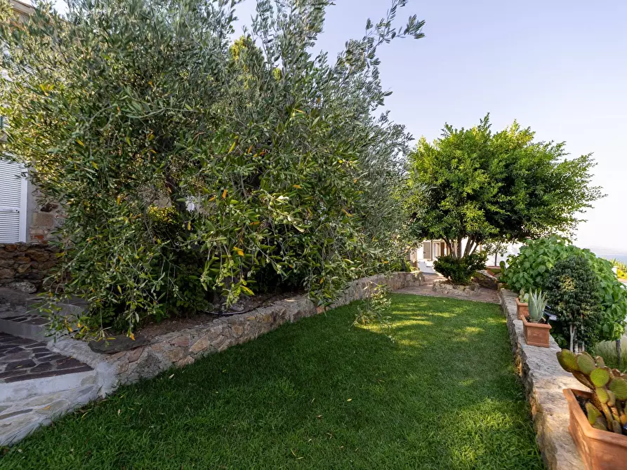 Immagine 6 di Villa in vendita  in Località Mandrioli snc a Monte Argentario