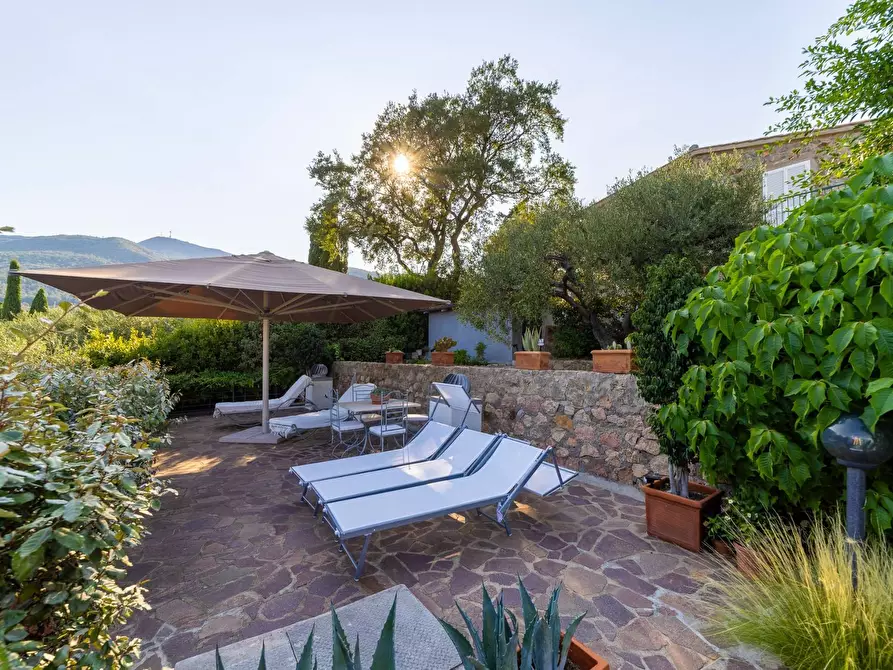 Immagine 5 di Villa in vendita  in Località Mandrioli snc a Monte Argentario