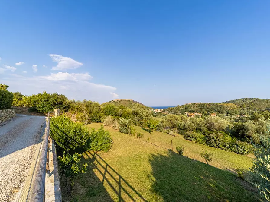 Immagine 32 di Villa in vendita  in Località Mandrioli snc a Monte Argentario