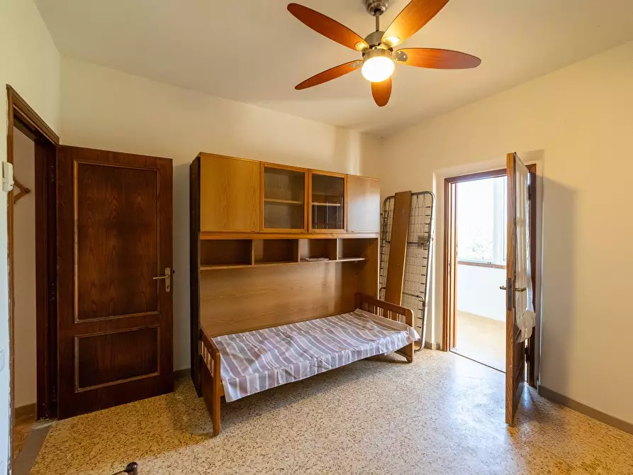 Immagine 40 di Villa in affitto  in Strada Vicinale  del Pino snc a Orbetello