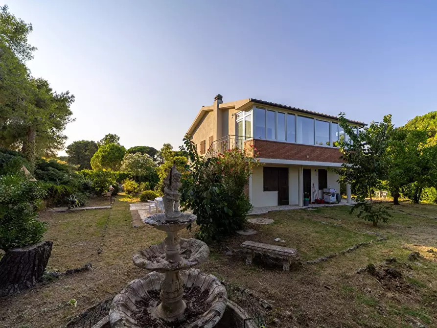 Immagine 41 di Villa in affitto  in Strada Vicinale  del Pino snc a Orbetello