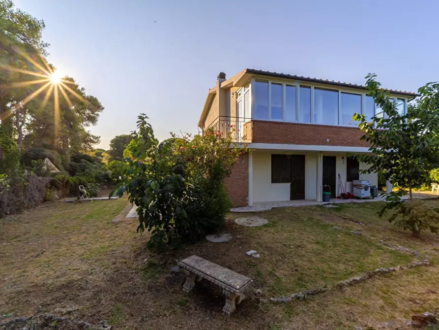 Immagine 42 di Villa in affitto  in Strada Vicinale  del Pino snc a Orbetello