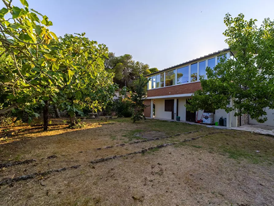 Immagine 3 di Villa in affitto  in Strada Vicinale  del Pino snc a Orbetello