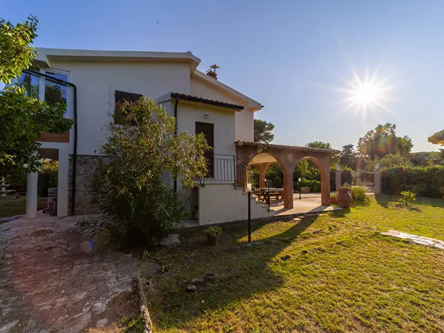 Immagine 43 di Villa in affitto  in Strada Vicinale  del Pino snc a Orbetello
