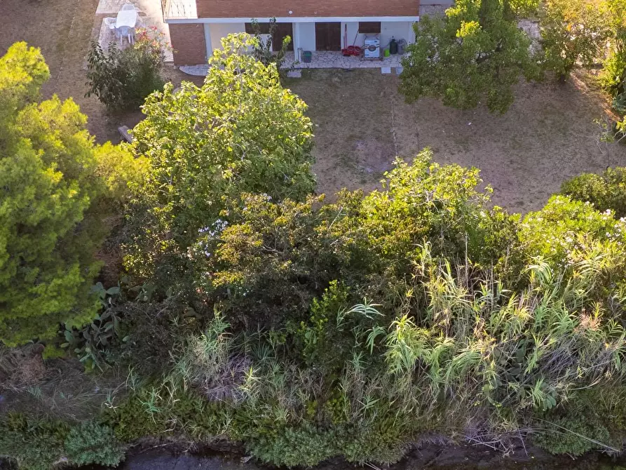 Immagine 4 di Villa in affitto  in Strada Vicinale  del Pino snc a Orbetello