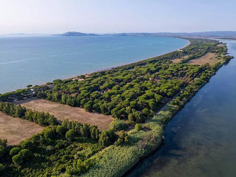 Immagine 23 di Villa in affitto  in Strada Vicinale  del Pino snc a Orbetello