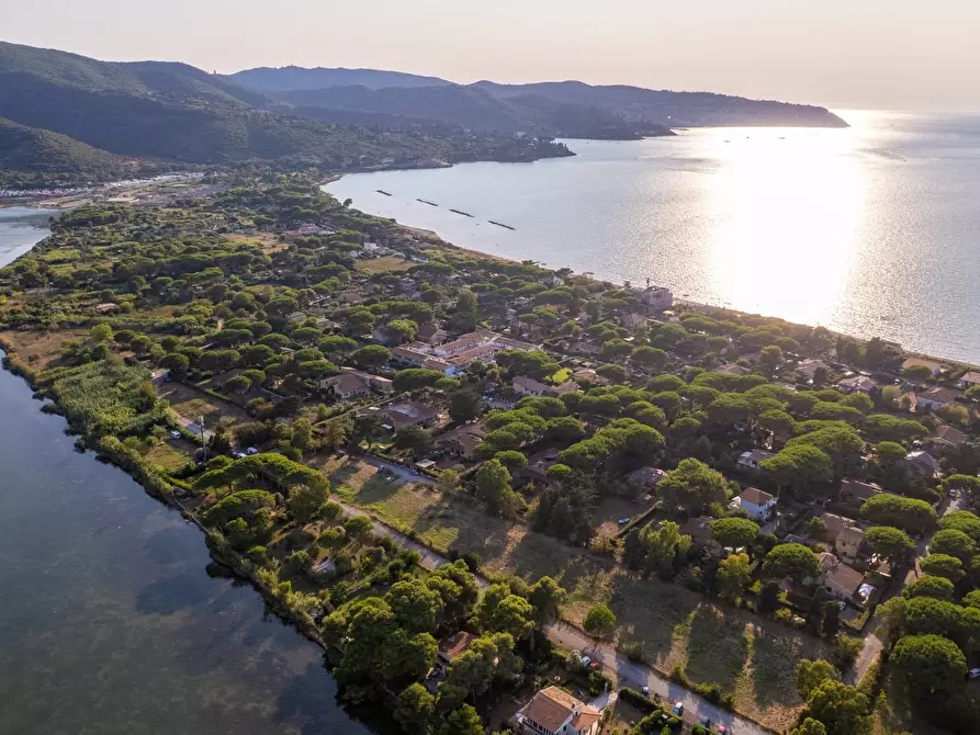 Immagine 14 di Villa in affitto  in Strada Vicinale  del Pino snc a Orbetello