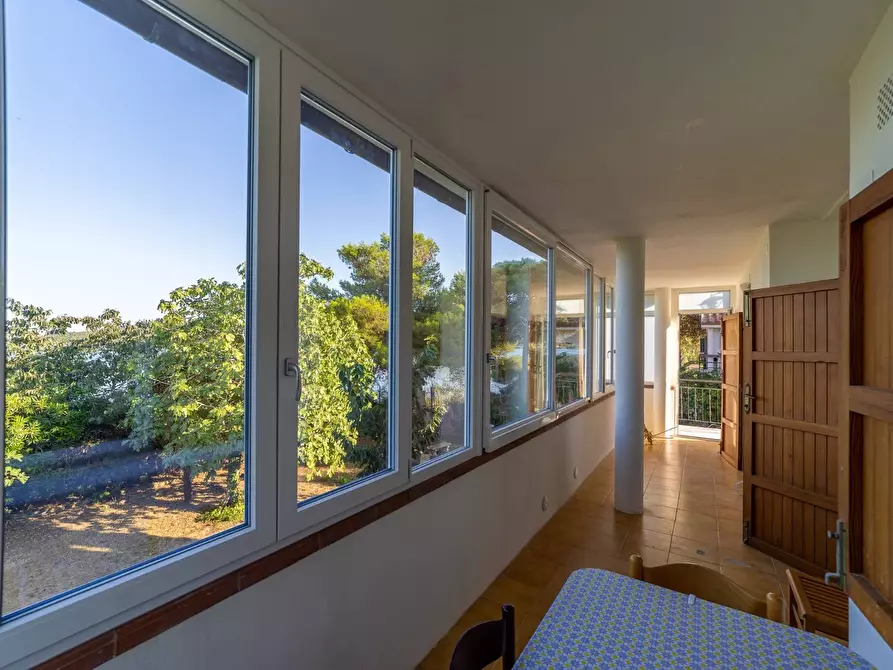 Immagine 29 di Villa in affitto  in Strada Vicinale  del Pino snc a Orbetello