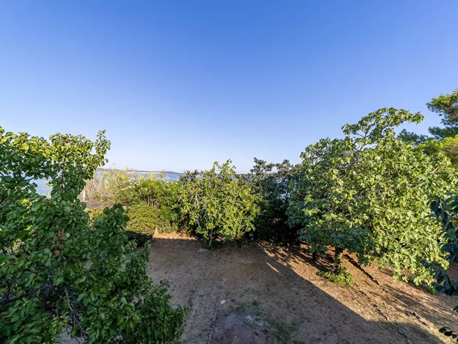 Immagine 30 di Villa in affitto  in Strada Vicinale  del Pino snc a Orbetello