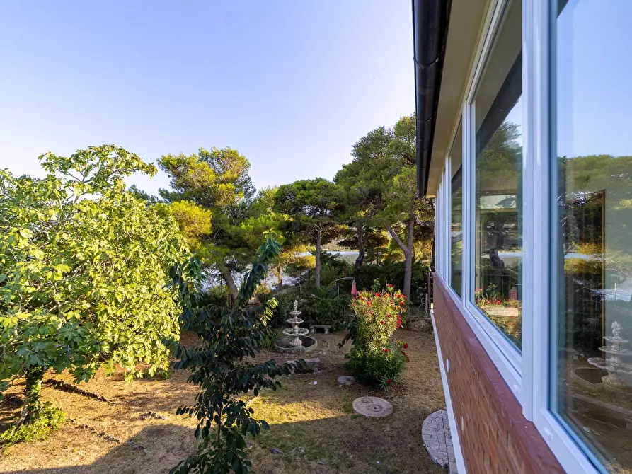 Immagine 31 di Villa in affitto  in Strada Vicinale  del Pino snc a Orbetello