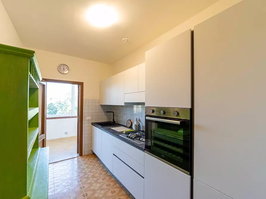 Immagine 11 di Villa in affitto  in Strada Vicinale  del Pino snc a Orbetello