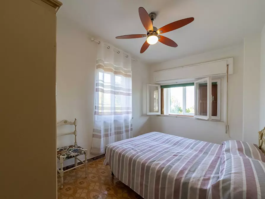 Immagine 34 di Villa in affitto  in Strada Vicinale  del Pino snc a Orbetello