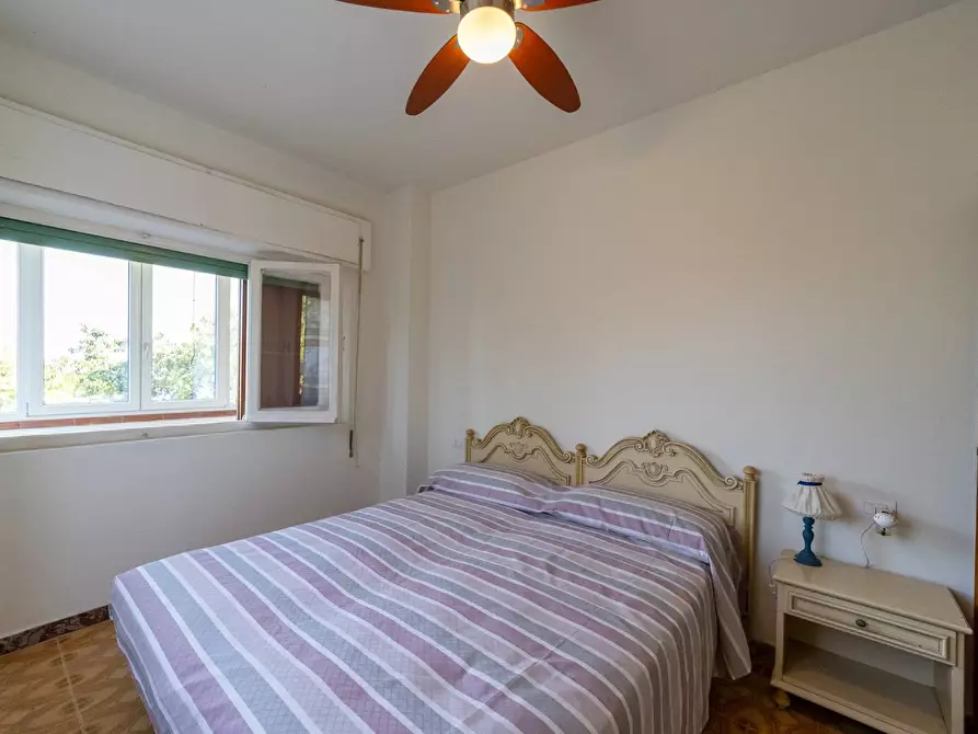 Immagine 25 di Villa in affitto  in Strada Vicinale  del Pino snc a Orbetello