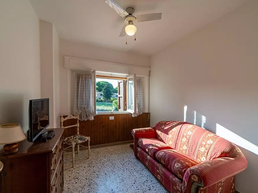 Immagine 35 di Villa in affitto  in Strada Vicinale  del Pino snc a Orbetello