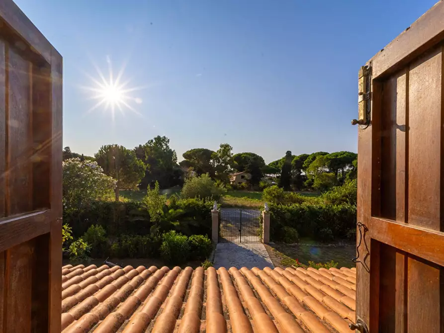 Immagine 36 di Villa in affitto  in Strada Vicinale  del Pino snc a Orbetello