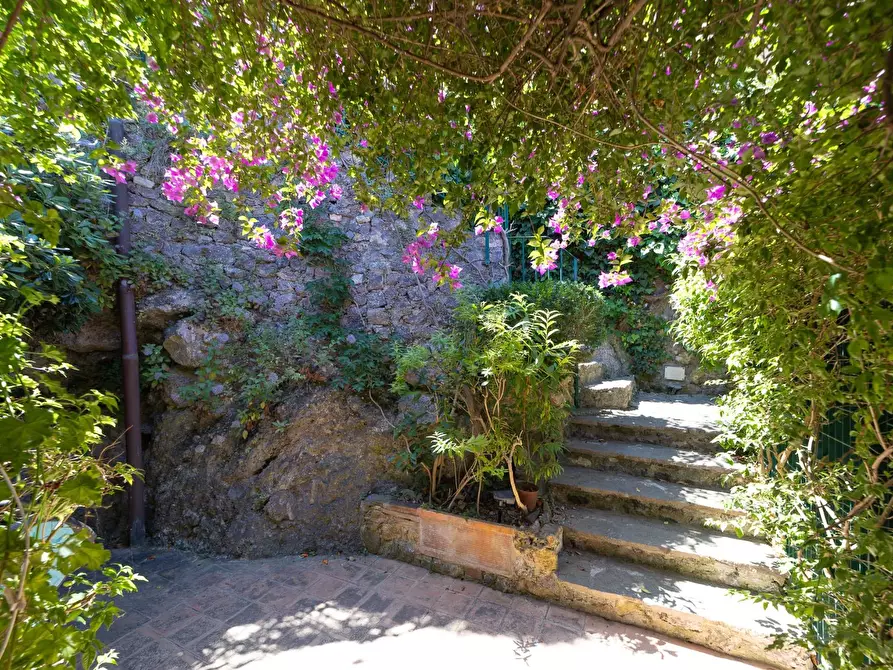 Immagine 29 di Attico in affitto  in via panoramica a Monte Argentario