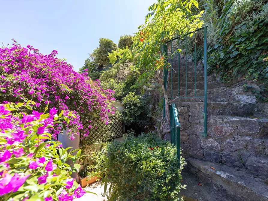 Immagine 30 di Attico in affitto  in via panoramica a Monte Argentario