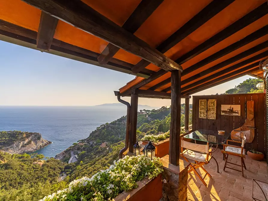 Immagine 3 di Villa in vendita  in Località Cala Piccola snc a Monte Argentario