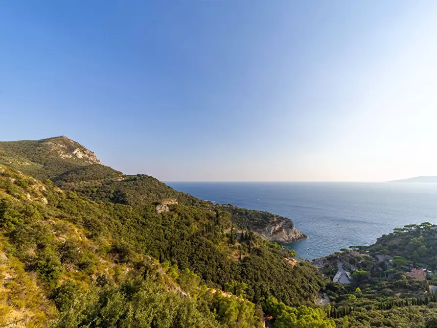 Immagine 16 di Villa in vendita  in Località Cala Piccola snc a Monte Argentario