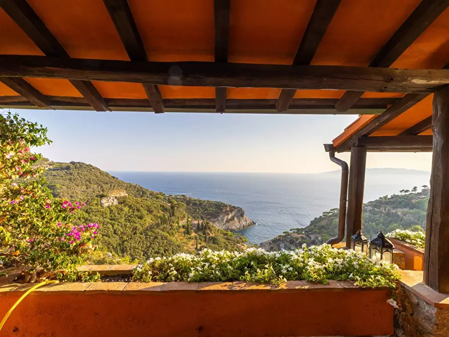 Immagine 11 di Villa in vendita  in Località Cala Piccola snc a Monte Argentario