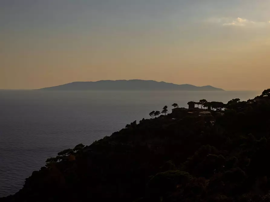 Immagine 18 di Villa in vendita  in Località Cala Piccola snc a Monte Argentario