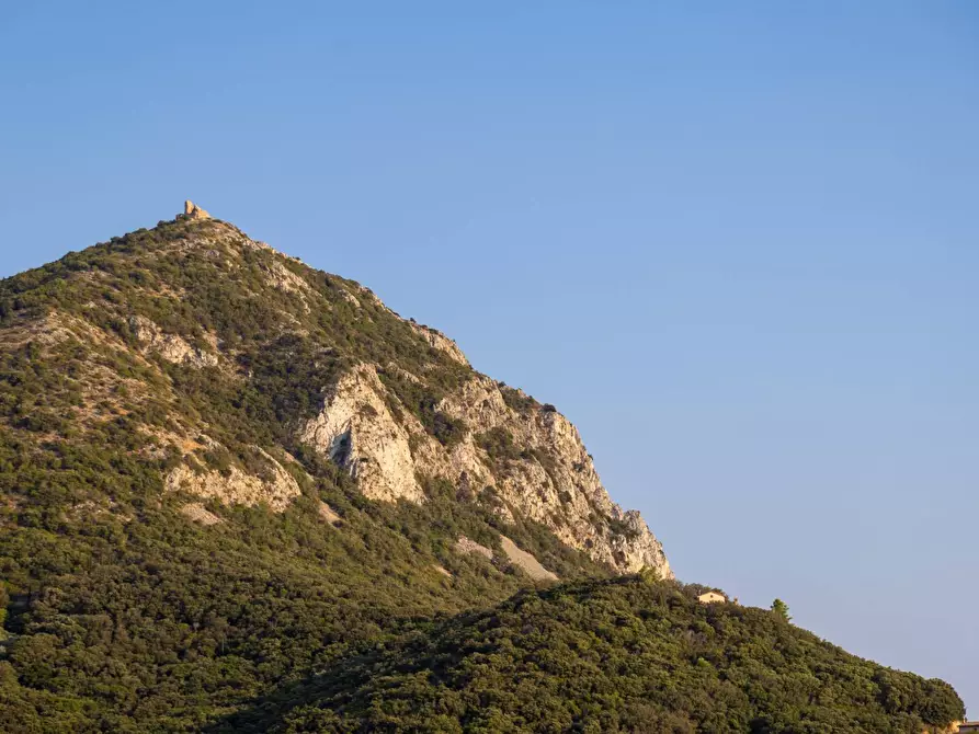 Immagine 19 di Villa in vendita  in Località Cala Piccola snc a Monte Argentario