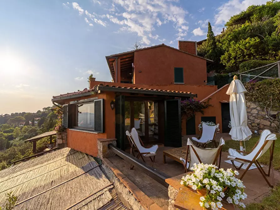 Immagine 24 di Villa in vendita  in Località Cala Piccola snc a Monte Argentario