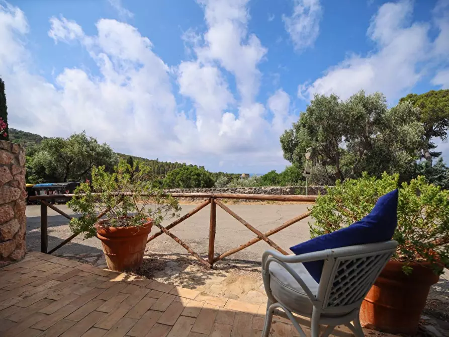 Immagine 2 di Casa indipendente in vendita  in Località Le Cannelle snc a Monte Argentario