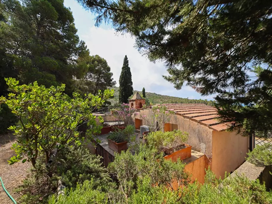 Immagine 3 di Casa indipendente in vendita  in Località Le Cannelle snc a Monte Argentario