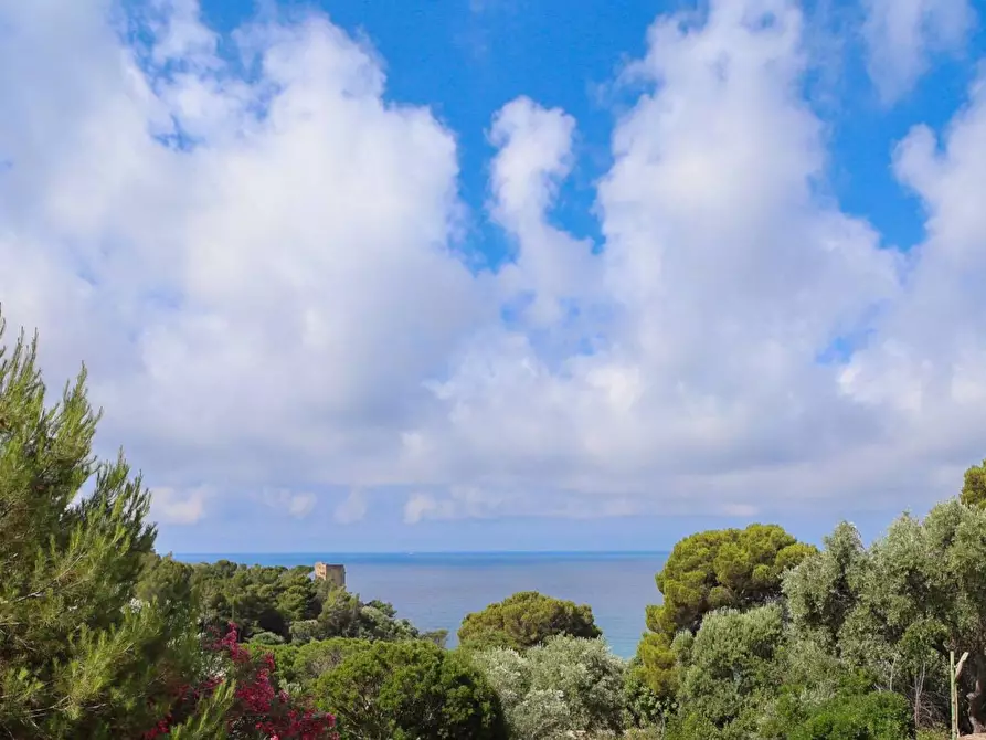 Immagine 14 di Casa indipendente in vendita  in Località Le Cannelle snc a Monte Argentario