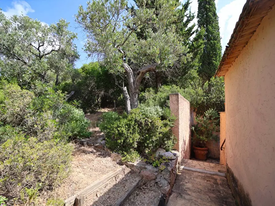 Immagine 17 di Casa indipendente in vendita  in Località Le Cannelle snc a Monte Argentario