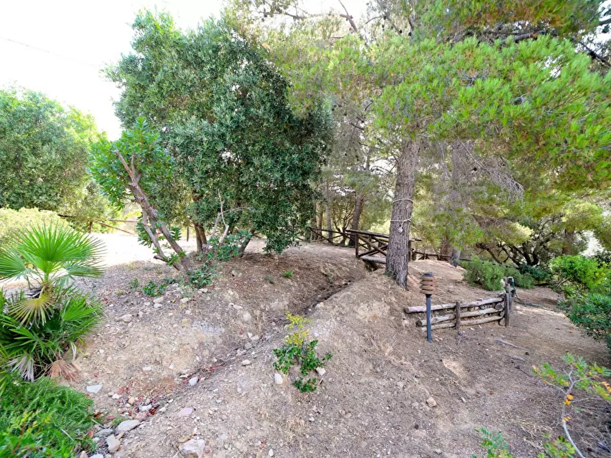 Immagine 18 di Casa indipendente in vendita  in Località Le Cannelle snc a Monte Argentario