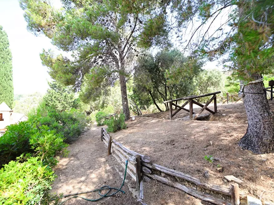 Immagine 19 di Casa indipendente in vendita  in Località Le Cannelle snc a Monte Argentario