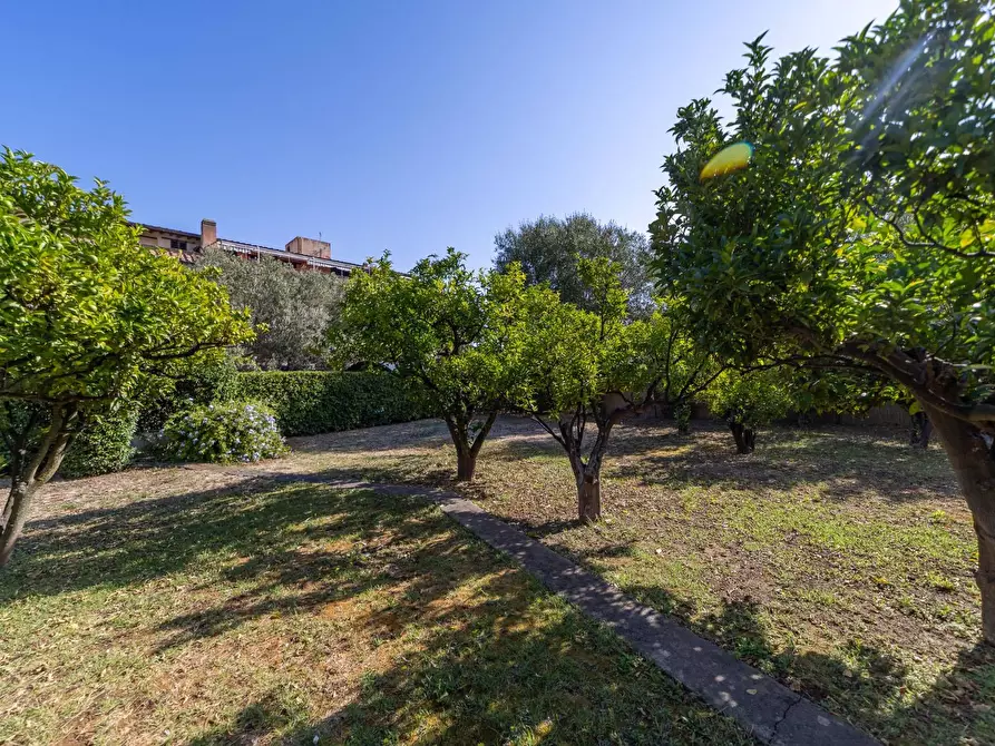 Immagine 35 di Villa in vendita  in Località Pozzarello snc a Monte Argentario