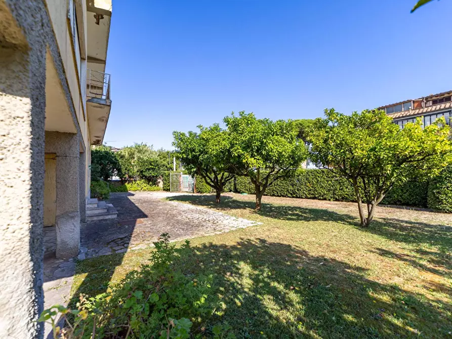 Immagine 5 di Villa in vendita  in Località Pozzarello snc a Monte Argentario