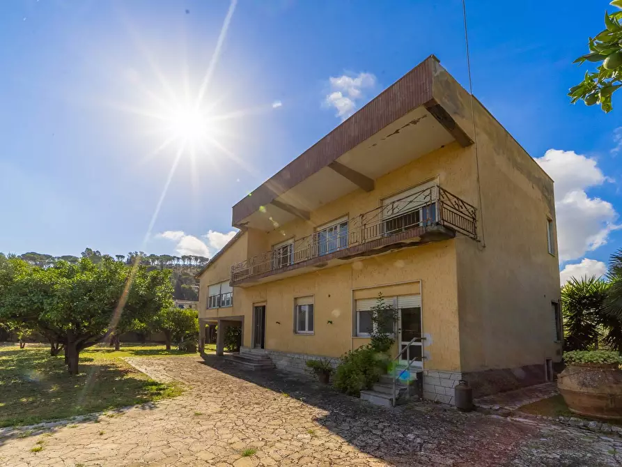 Immagine 10 di Villa in vendita  in Località Pozzarello snc a Monte Argentario