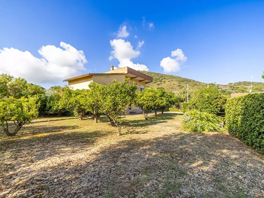 Immagine 38 di Villa in vendita  in Località Pozzarello snc a Monte Argentario