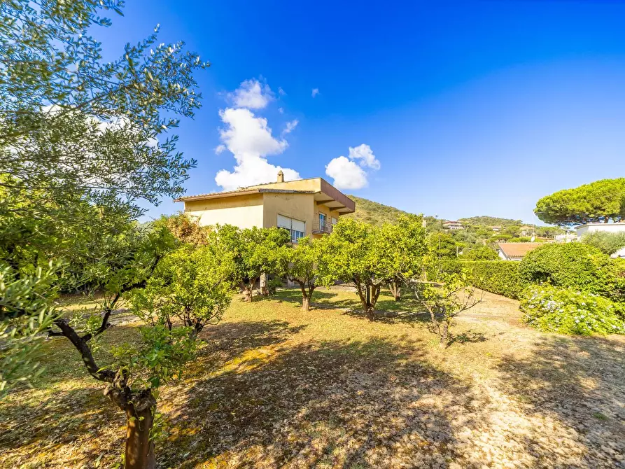 Immagine 1 di Villa in vendita  in Località Pozzarello snc a Monte Argentario
