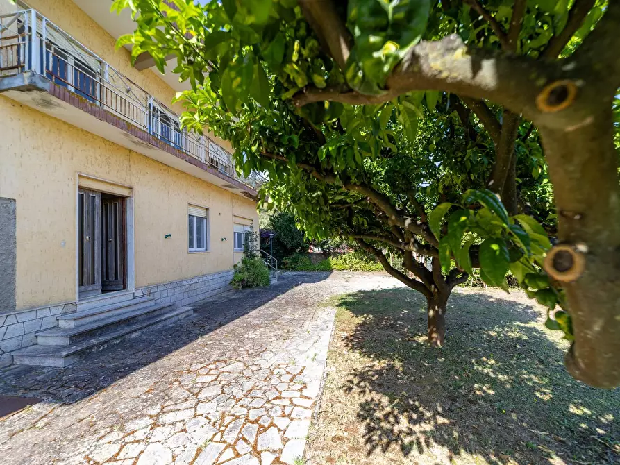 Immagine 12 di Villa in vendita  in Località Pozzarello snc a Monte Argentario
