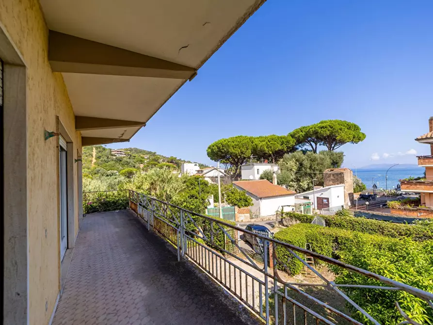 Immagine 2 di Villa in vendita  in Località Pozzarello snc a Monte Argentario
