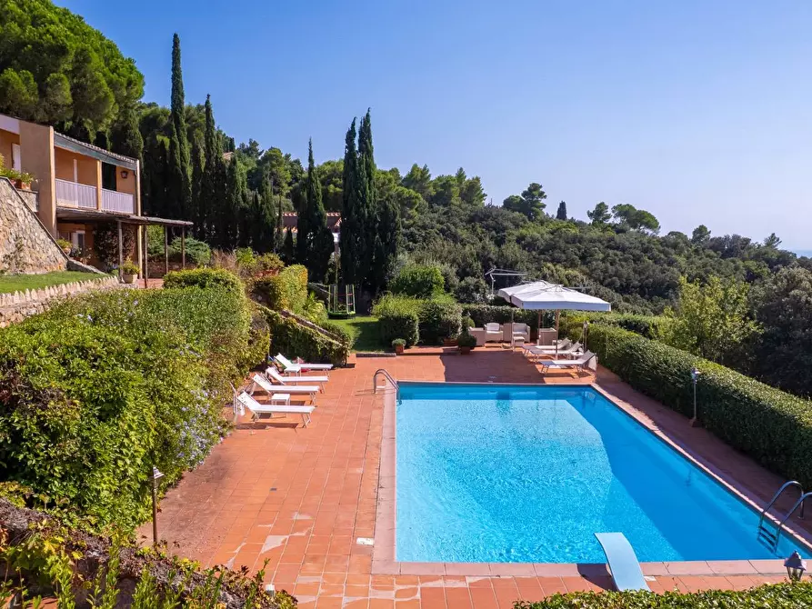 Immagine 4 di Villa in affitto  in via panoramica a Monte Argentario