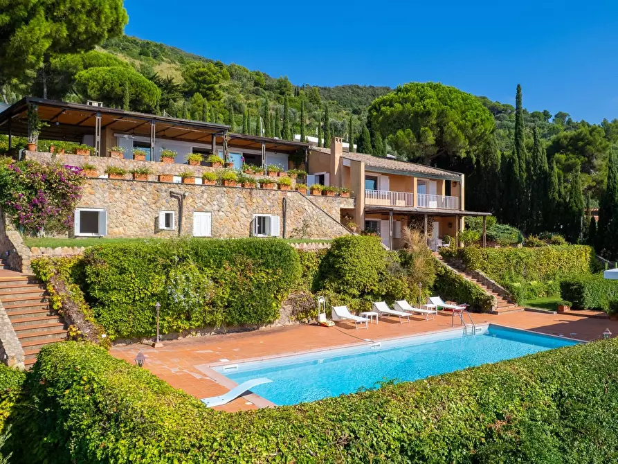 Immagine 9 di Villa in affitto  in via panoramica a Monte Argentario