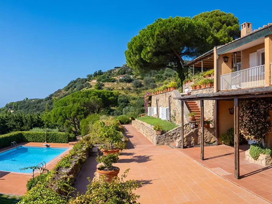 Immagine 11 di Villa in affitto  in via panoramica a Monte Argentario