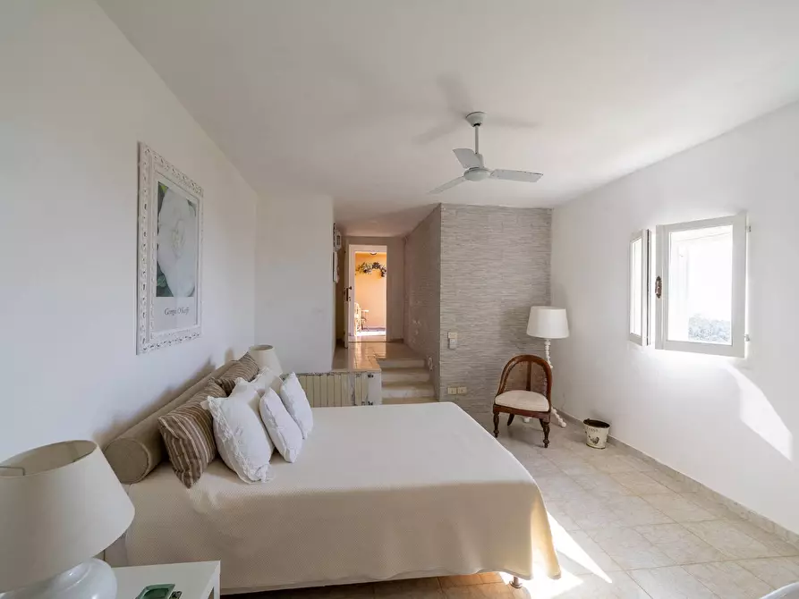 Immagine 21 di Villa in affitto  in via panoramica a Monte Argentario