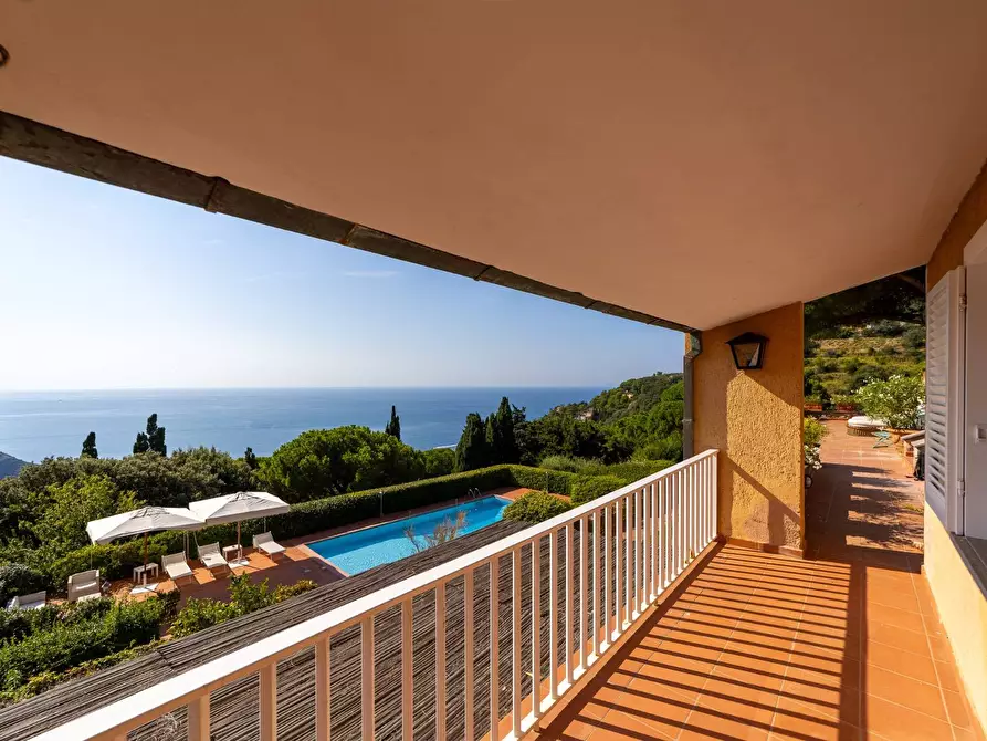 Immagine 8 di Villa in affitto  in via panoramica a Monte Argentario