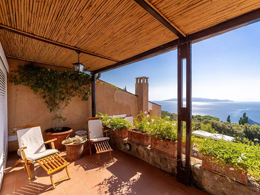 Immagine 35 di Villa in affitto  in via panoramica a Monte Argentario