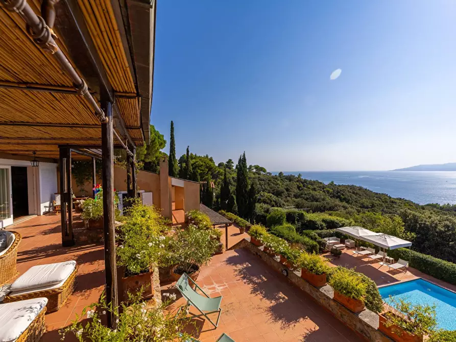 Immagine 39 di Villa in affitto  in via panoramica a Monte Argentario