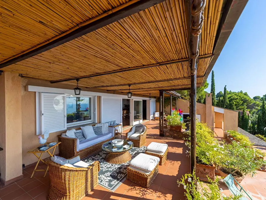 Immagine 40 di Villa in affitto  in via panoramica a Monte Argentario